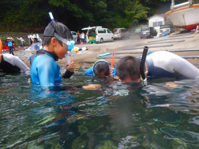 シュノーケリング体験コースの風景